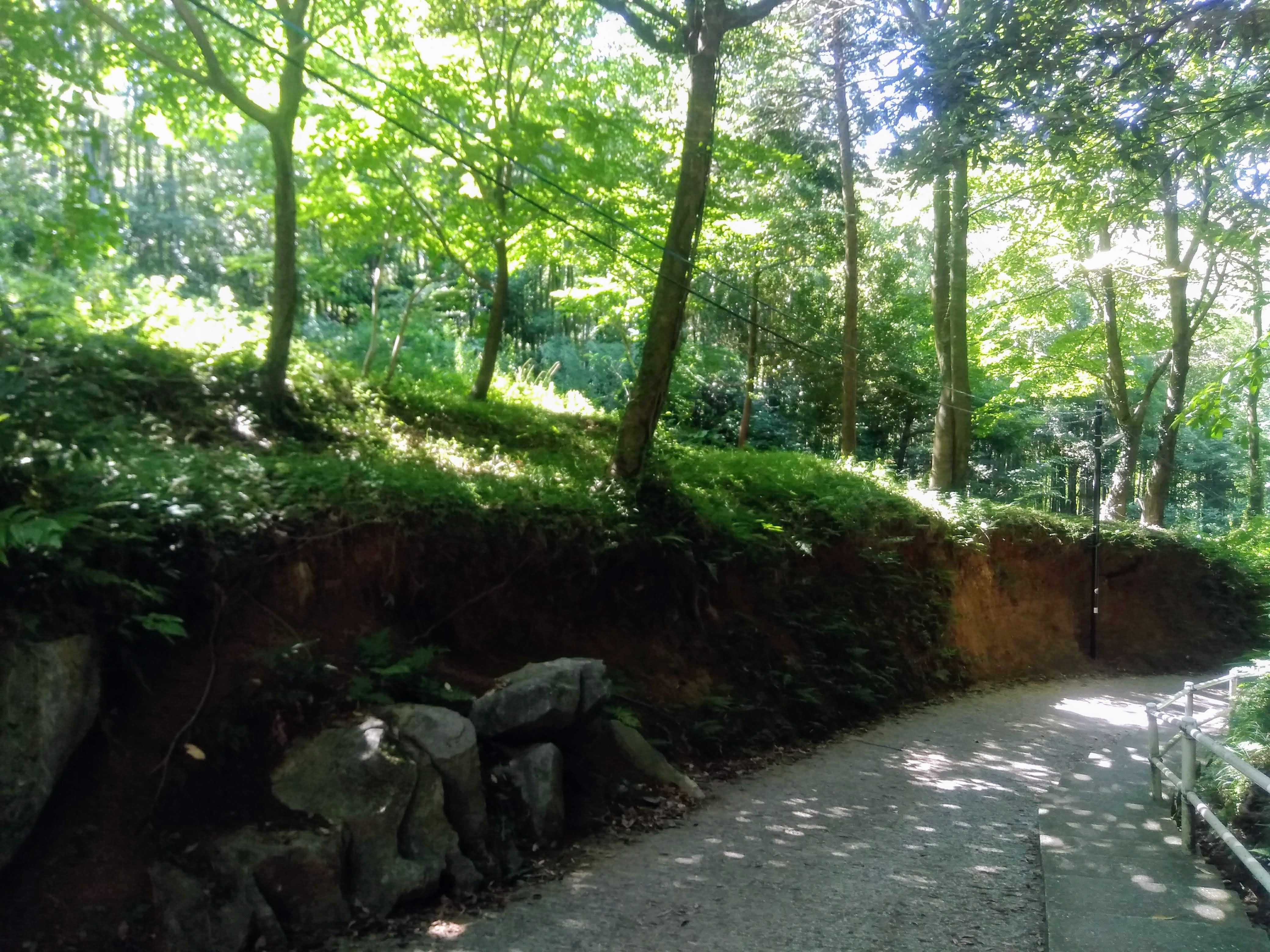 子どもと一緒に福岡県北九州市の千仏鍾乳洞へ