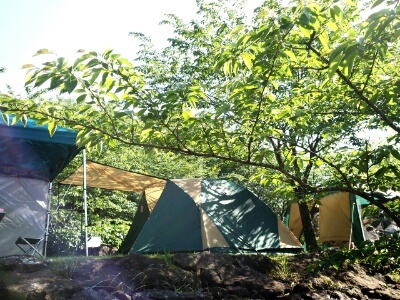 ゴールデンウィーク　フリーサイト　キャンプ