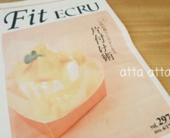 佐賀新聞　Fit ECRU